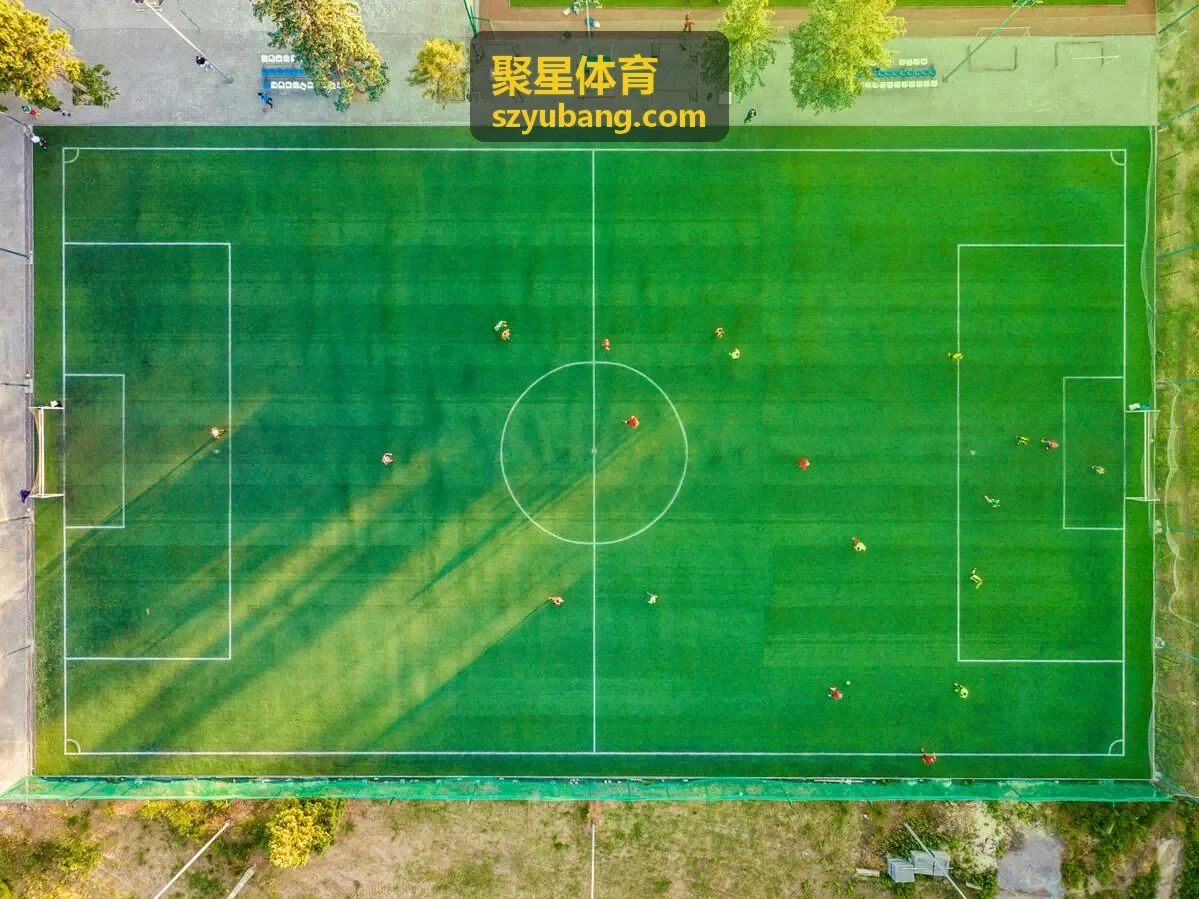 聚星体育赛事实时数据